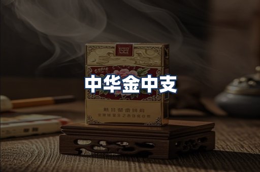 中华金中支